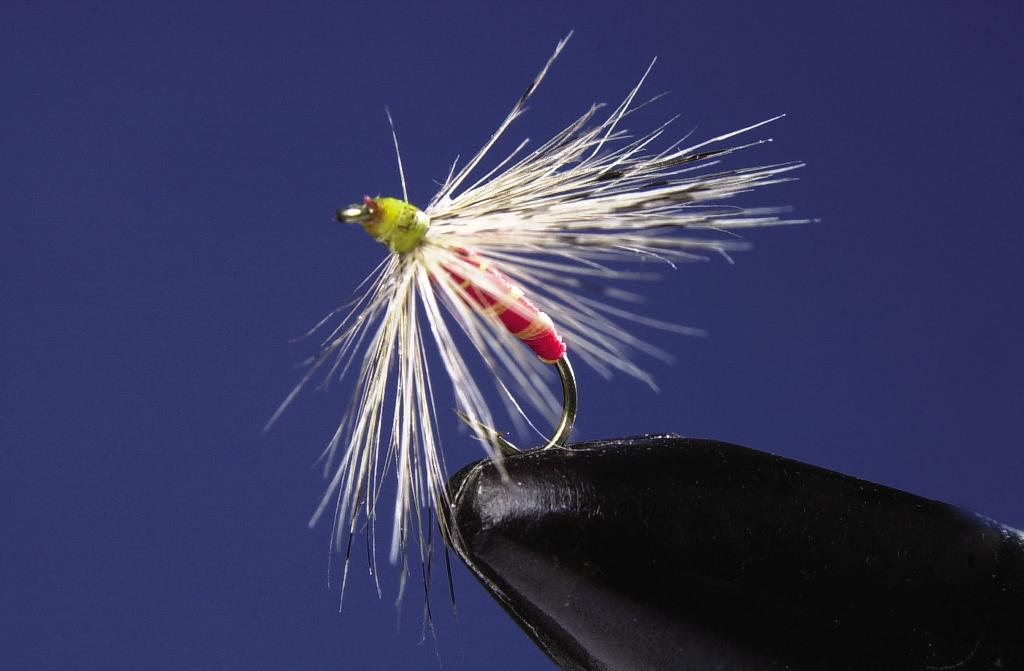 Pluma 1 Wet Ahogada Leon 4